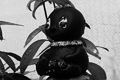 black5