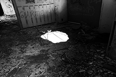 Lost16