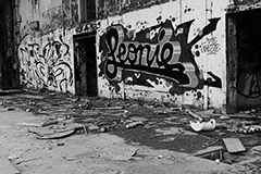 Lost24